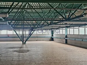 Pronájem obchodního prostoru, Praha, Za Mototechnou, 1137 m2