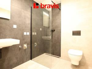 Pronájem bytu 1+1, Brno - Maloměřice, Selská, 31 m2