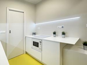 Pronájem bytu 2+1, Brno, Úvoz, 65 m2