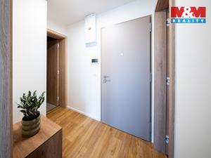 Prodej bytu 2+kk, Brandýs nad Labem-Stará Boleslav, Dřevčická, 134 m2
