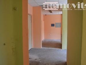 Pronájem obchodního prostoru, Praha - Střešovice, Střešovická, 97 m2