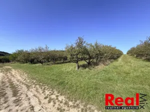 Prodej pozemku pro bydlení, Veverské Knínice, 3129 m2