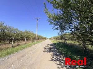 Prodej pozemku pro bydlení, Veverské Knínice, 3129 m2
