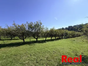 Prodej pozemku pro bydlení, Veverské Knínice, 3129 m2