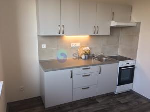 Pronájem bytu 1+1, Ostrava - Moravská Ostrava, Ahepjukova, 38 m2