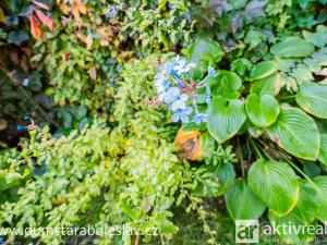 Prodej rodinného domu, Brandýs nad Labem-Stará Boleslav - Stará Boleslav, Boleslavská, 140 m2