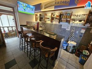 Pronájem restaurace, Plzeň - Jižní Předměstí, Klatovská třída, 100 m2