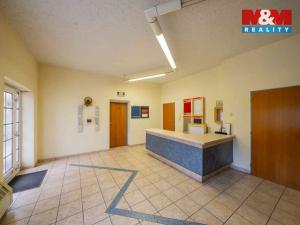 Prodej výrobních prostor, Zaječí, Hlavní, 650 m2