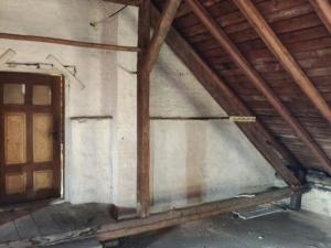 Prodej obchodního prostoru, Telč - Telč-Podolí, Svatoanenská, 600 m2