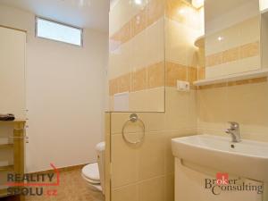 Pronájem bytu 2+kk, České Budějovice - České Budějovice 3, Čéčova, 49 m2