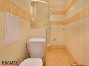 Pronájem bytu 2+kk, České Budějovice - České Budějovice 3, Čéčova, 49 m2