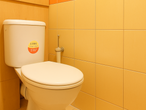 Prodej bytu 2+1, Ústí nad Orlicí, Nová, 59 m2