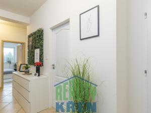 Pronájem bytu 2+kk, Holubice, Habrová, 51 m2