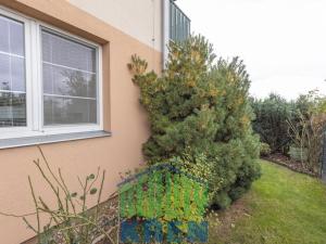 Pronájem bytu 2+kk, Holubice, Habrová, 51 m2
