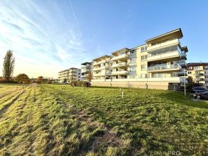 Pronájem bytu 3+kk, Olomouc, Topolová, 105 m2