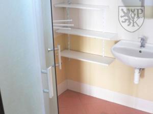 Prodej rodinného domu, Blatná, Pod Vinicí, 230 m2