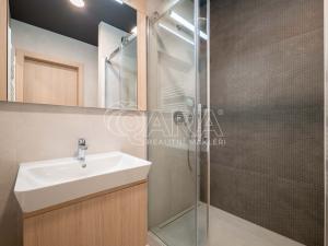 Pronájem bytu 2+kk, Praha - Holešovice, Tusarova, 53 m2