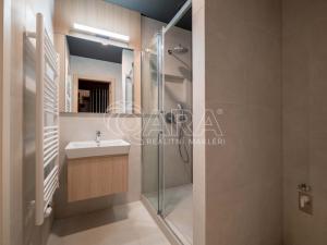 Pronájem bytu 2+kk, Praha - Holešovice, Tusarova, 53 m2
