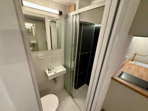Pronájem bytu 1+kk, Praha, Nad Kajetánkou, 16 m2
