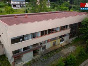 Prodej ubytování, Havlovice, 1236 m2