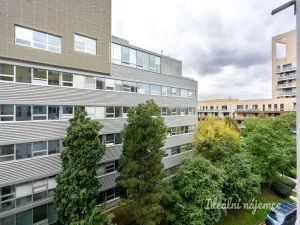 Pronájem bytu 1+kk, Praha - Michle, Jemnická, 28 m2