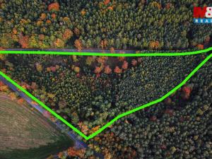 Prodej lesa, Luže - Bělá, 26435 m2