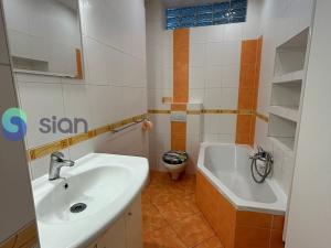 Pronájem bytu 2+1, Opava - Předměstí, Krnovská, 66 m2