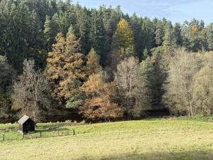 Prodej chalupy, Besednice - Malče, 55 m2