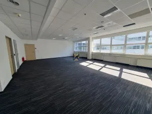 Pronájem komerční nemovitosti, Praha, Radlická, 405 m2
