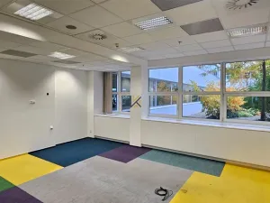 Pronájem komerční nemovitosti, Praha, Radlická, 789 m2