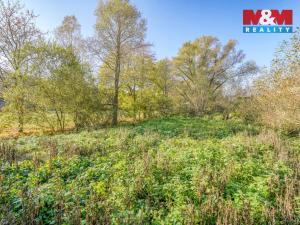 Prodej rodinného domu, Nečtiny - Březín, 335 m2