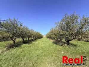 Prodej pozemku pro bydlení, Veverské Knínice, 1043 m2