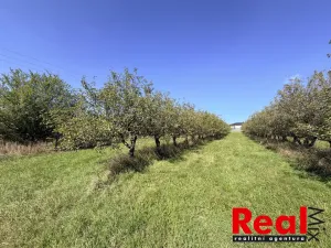 Prodej pozemku pro bydlení, Veverské Knínice, 1043 m2