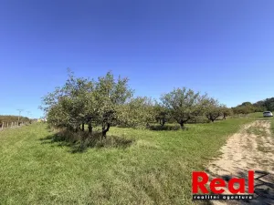 Prodej pozemku pro bydlení, Veverské Knínice, 1043 m2