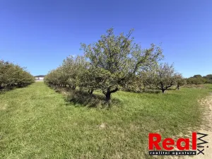 Prodej pozemku pro bydlení, Veverské Knínice, 1043 m2