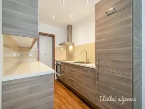 Pronájem bytu 3+kk, Praha - Žižkov, V zahrádkách, 74 m2