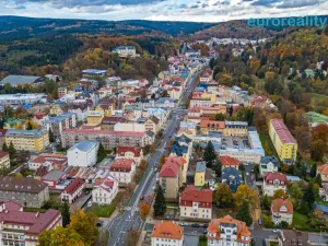Prodej bytu 1+1, Mariánské Lázně, Hlavní třída, 30 m2