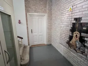 Prodej bytu 2+1, Mariánské Lázně, Anglická, 156 m2