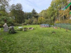 Prodej rodinného domu, Tisová - Jemnice, Hlinné, 280 m2