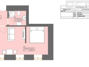 Prodej bytu 1+kk, České Budějovice, Rudolfovská tř., 22 m2