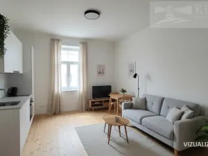 Prodej bytu 1+kk, České Budějovice, Rudolfovská tř., 36 m2