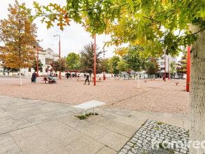 Pronájem bytu 2+1, Brno, Výstavní, 58 m2