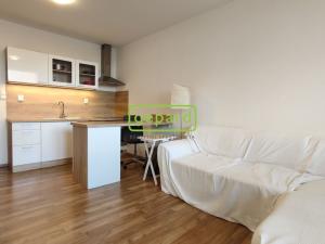 Pronájem bytu 1+kk, Brno - Žabovřesky, Voroněžská, 30 m2