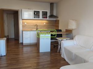 Pronájem bytu 1+kk, Brno - Žabovřesky, Voroněžská, 30 m2