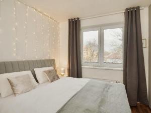 Pronájem bytu 2+kk, Praha - Žižkov, Biskupcova, 54 m2