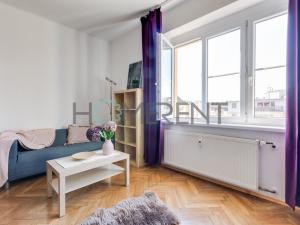 Pronájem bytu 1+kk, Praha - Nusle, U křížku, 30 m2
