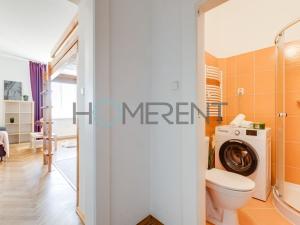 Pronájem bytu 1+kk, Praha - Nusle, U křížku, 30 m2