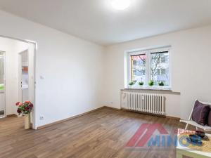 Pronájem bytu 1+1, Slaný, Rabasova, 28 m2