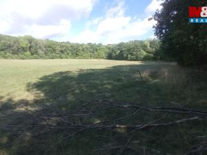 Prodej louky, Jenčice, 16692 m2