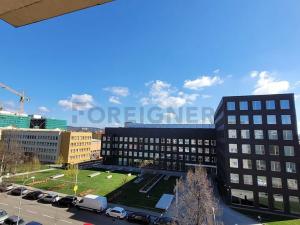 Pronájem bytu 2+1, Brno, Botanická, 70 m2